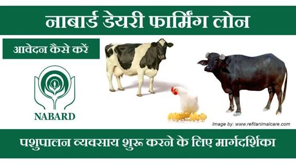 नाबार्ड डेअरी लोन योजनेसाठी अर्ज प्रक्रिया