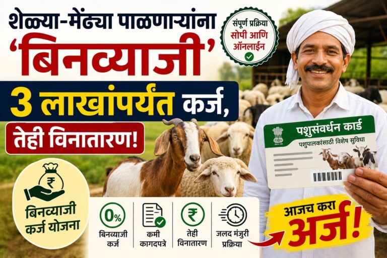 शेळ्या-मेंढ्या पाळणाऱ्यांना 'बिनव्याजी' ३ लाखांपर्यंत कर्ज, तेही विनातारण! लगेच पहा, कसे मिळवायचे!